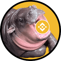 Baby Hippo