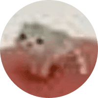 Low Quality Cat