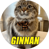 Ginnan