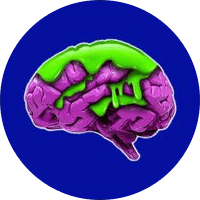 Brainrot