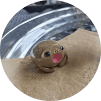popo
