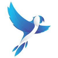 Parrotly