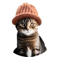 Catwifhat