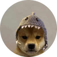 Shark Dog