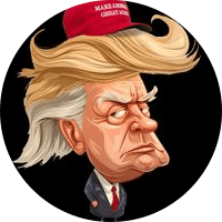 Trumps Hair
