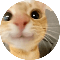 Hi how are you