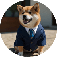 Blue Tuxedo Shiba