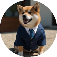 Blue Tuxedo Shiba